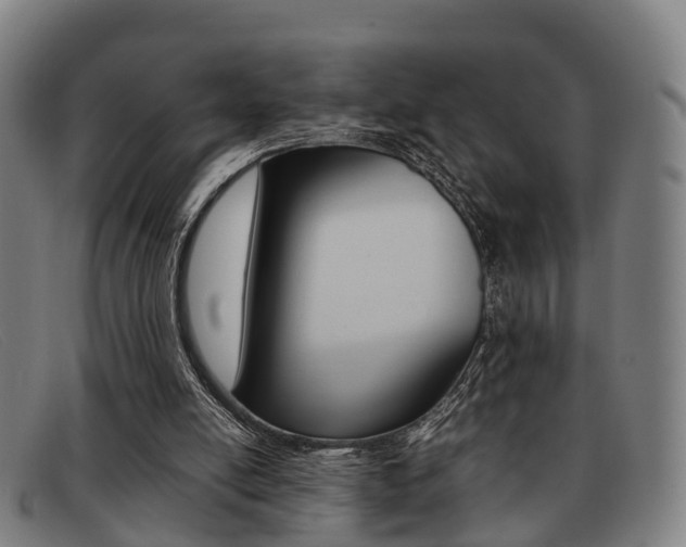 X0000092060054200709121014