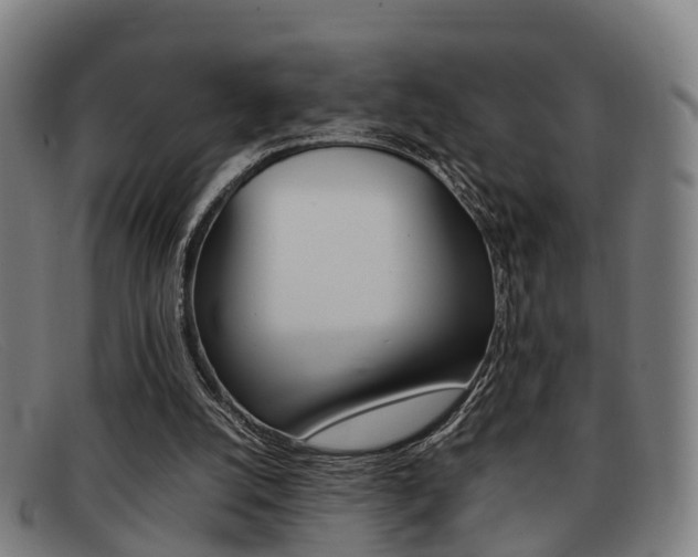 X0000092060056200709121014
