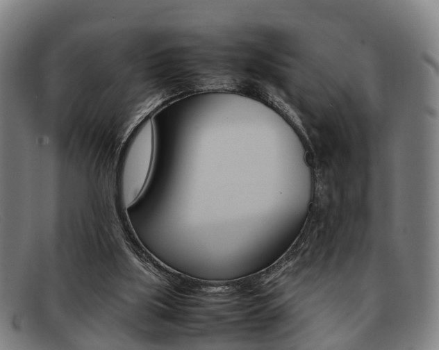 X0000092060059200709121014