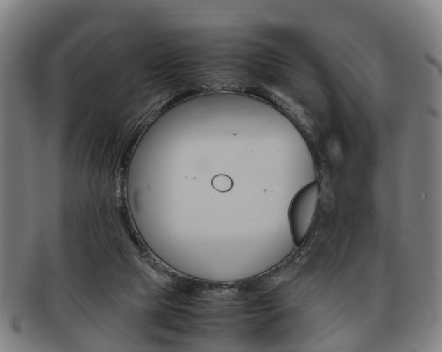X0000092060065200709121014
