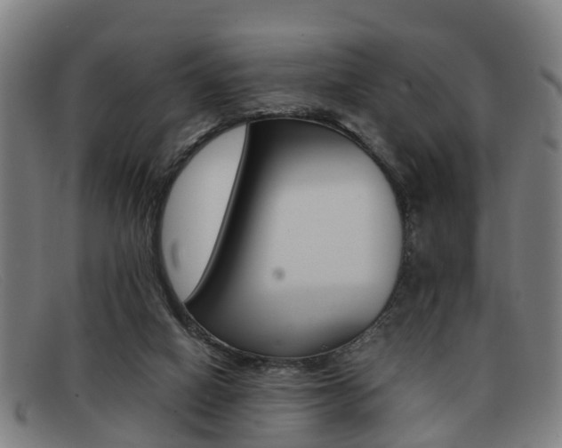 X0000092060066200709121014