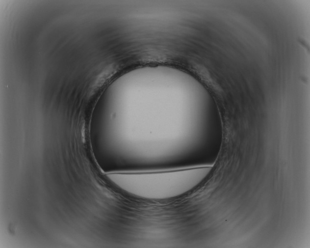X0000092060068200709121014