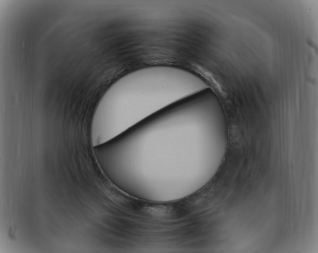 X0000092060069200709121014