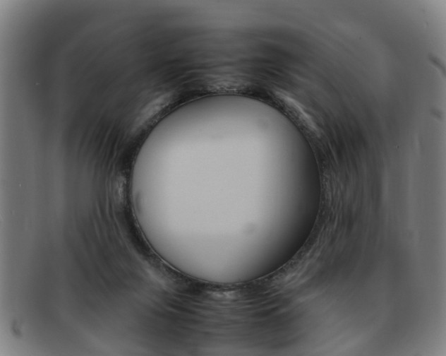 X0000092060071200709121014
