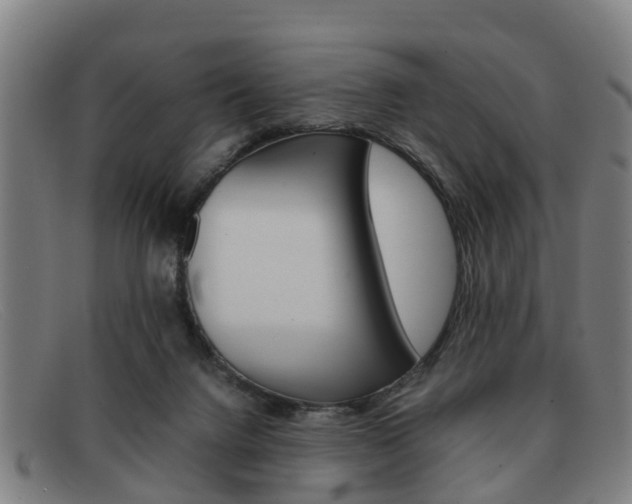 X0000092060072200709121014