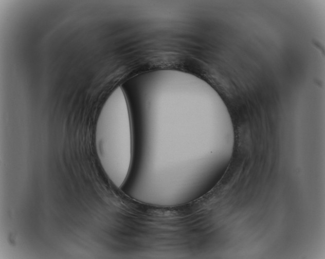 X0000092060073200709121014