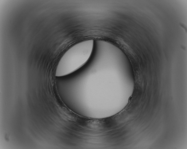X0000092060074200709121014