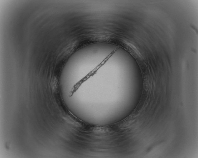 X0000092060077200709121014