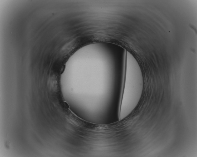 X0000092060080200709121014