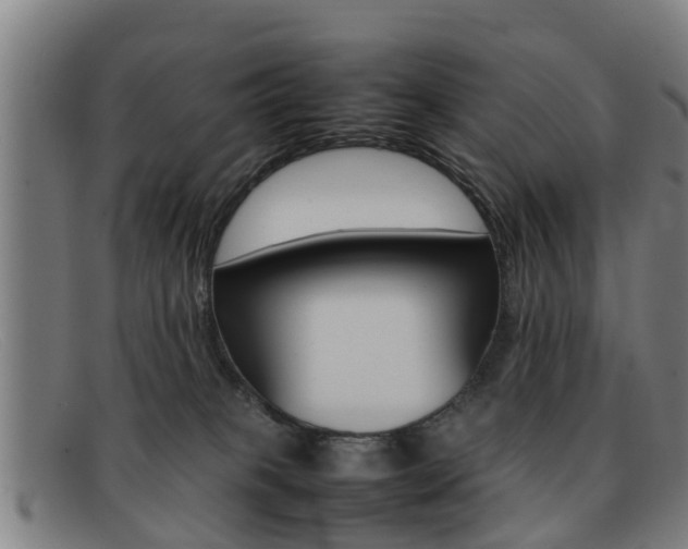X0000092060085200709121014
