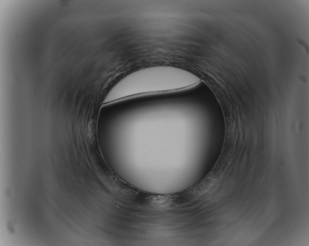 X0000092060088200709121014