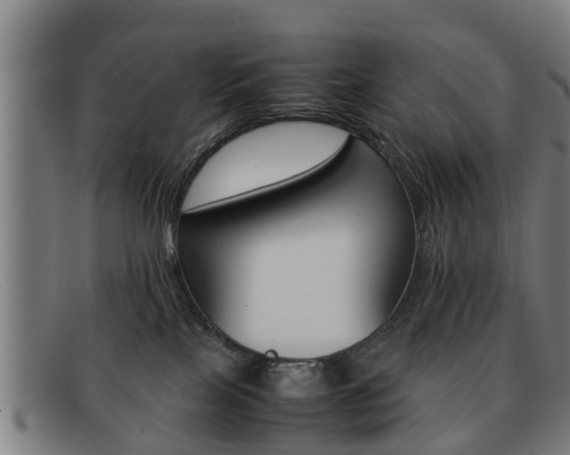 X0000092060089200709121014