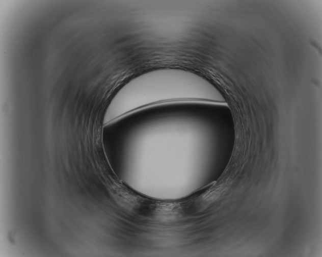 X0000092060096200709121014