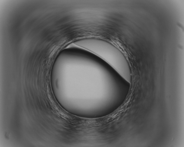 X0000092060097200709121014