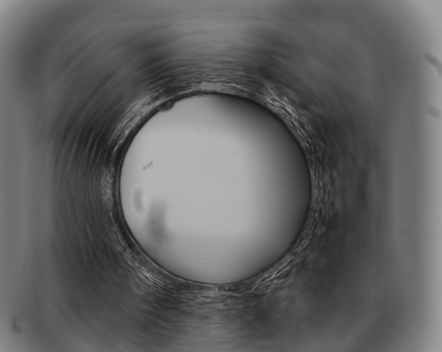 X0000092060098200709121014