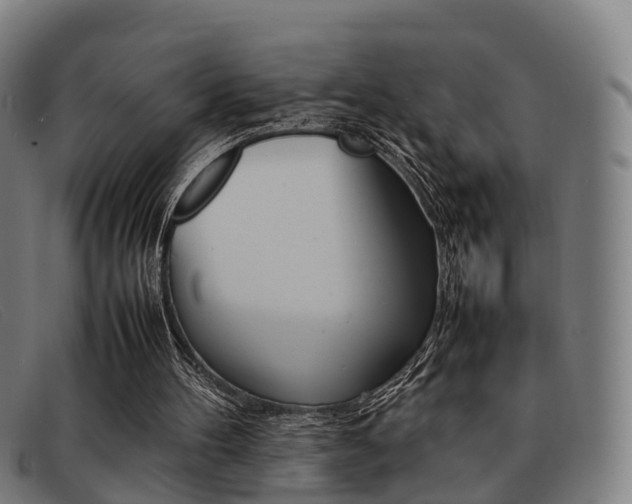 X0000092060100200709121014