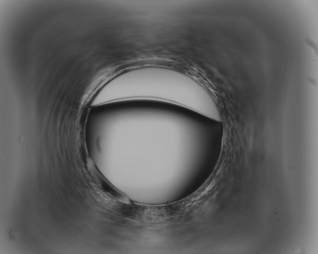 X0000092060101200709121014