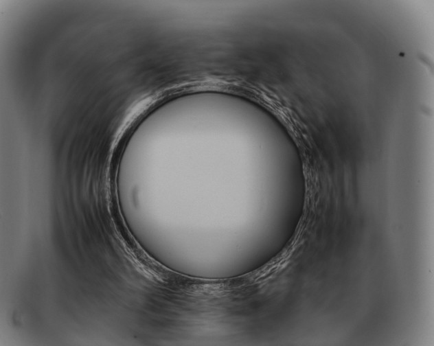 X0000092060102200709121014