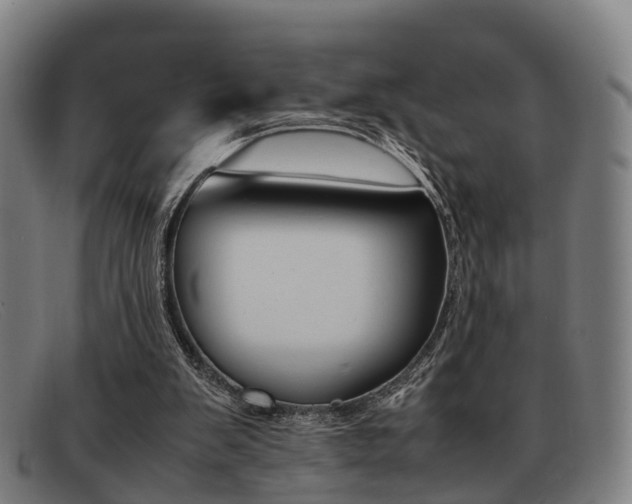 X0000092060103200709121014
