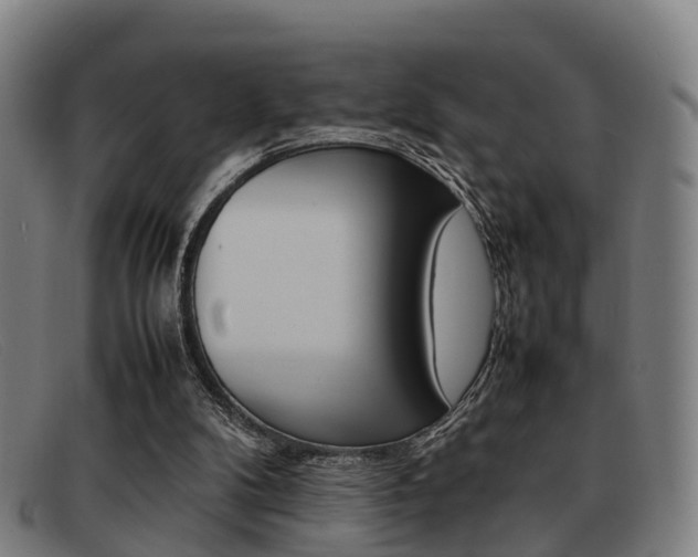 X0000092060104200709121014