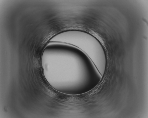 X0000092060105200709121014