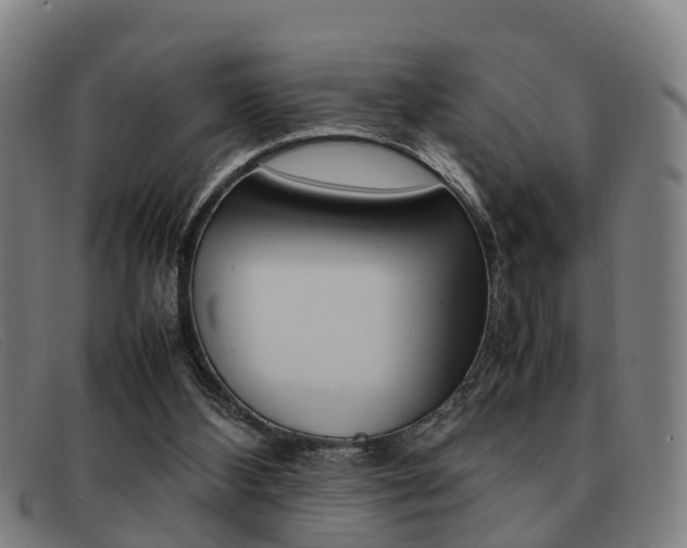 X0000092060108200709121014