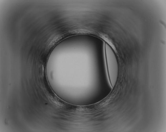 X0000092060109200709121014