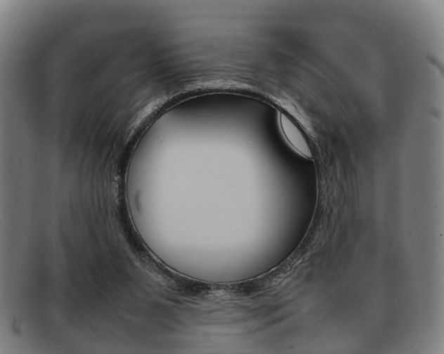 X0000092060111200709121014