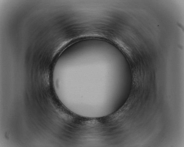 X0000092060112200709121014