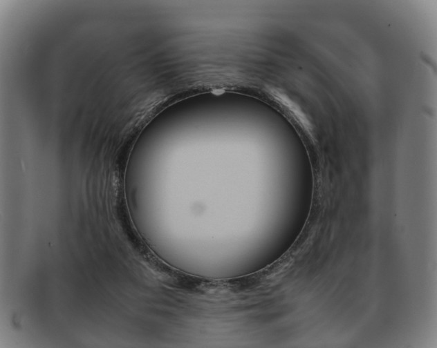 X0000092060113200709121014