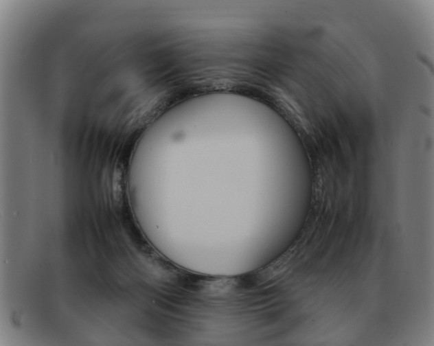 X0000092060122200709121014