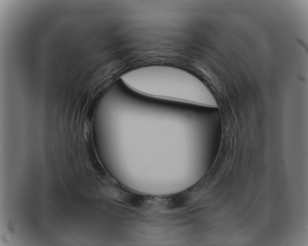 X0000092060125200709121014