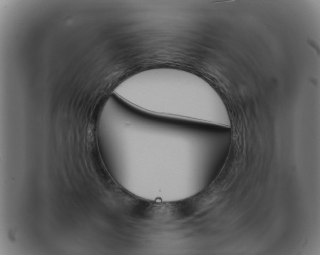 X0000092060127200709121014