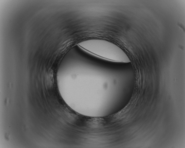 X0000092060128200709121014