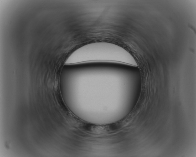 X0000092060129200709121014