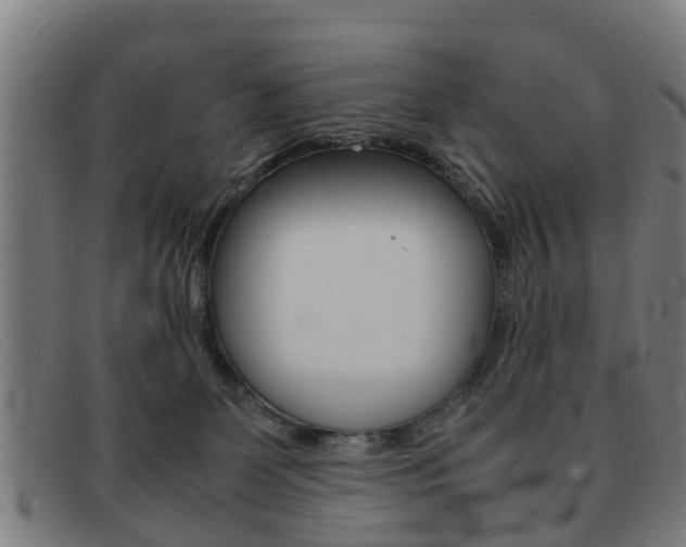 X0000092060131200709121013