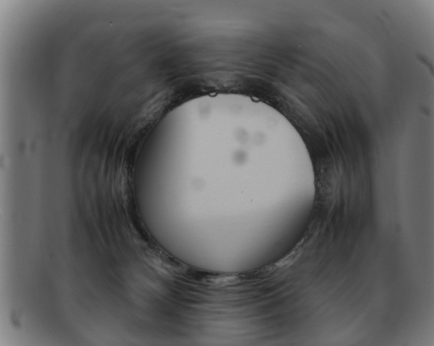 X0000092060132200709121013