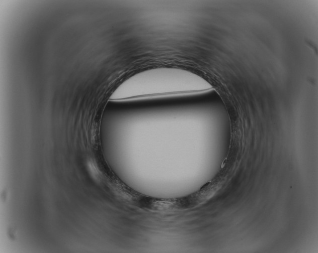 X0000092060139200709121013