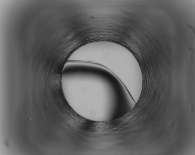 X0000092060141200709121013