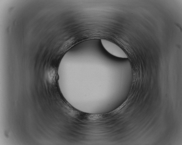 X0000092060142200709121013