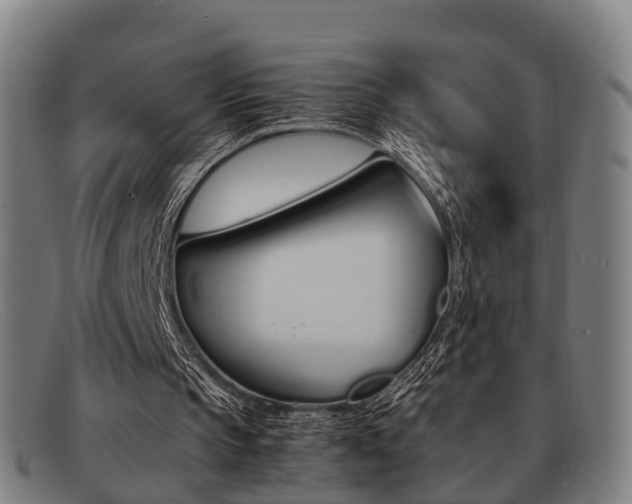 X0000092060145200709121013