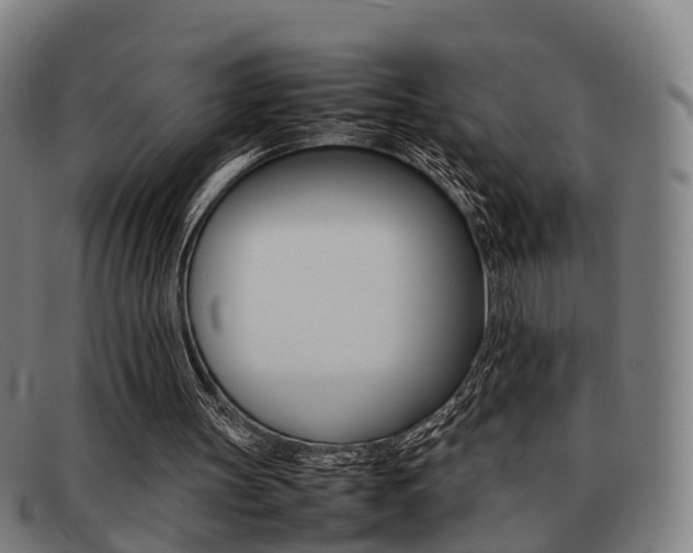 X0000092060147200709121013