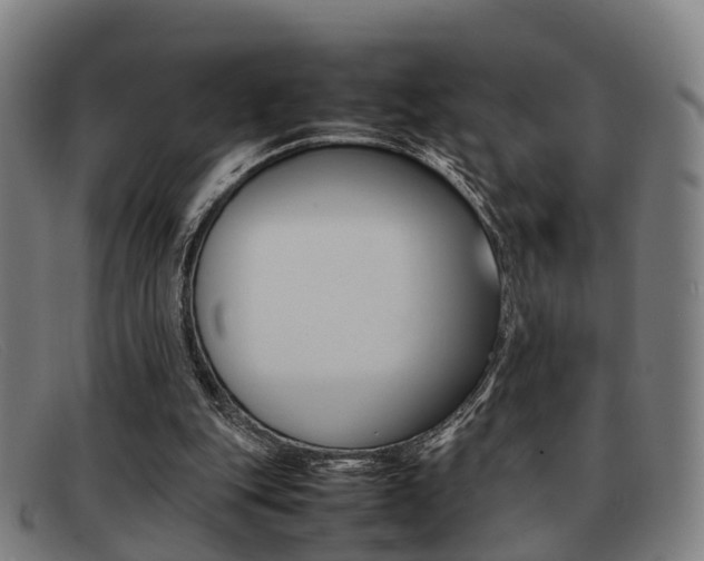 X0000092060151200709121013