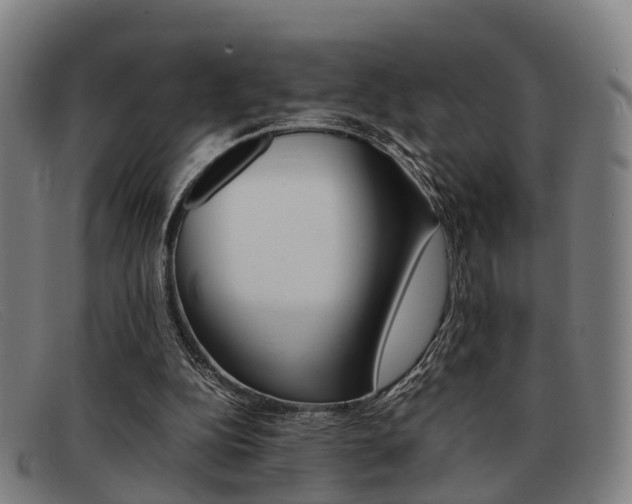 X0000092060152200709121013
