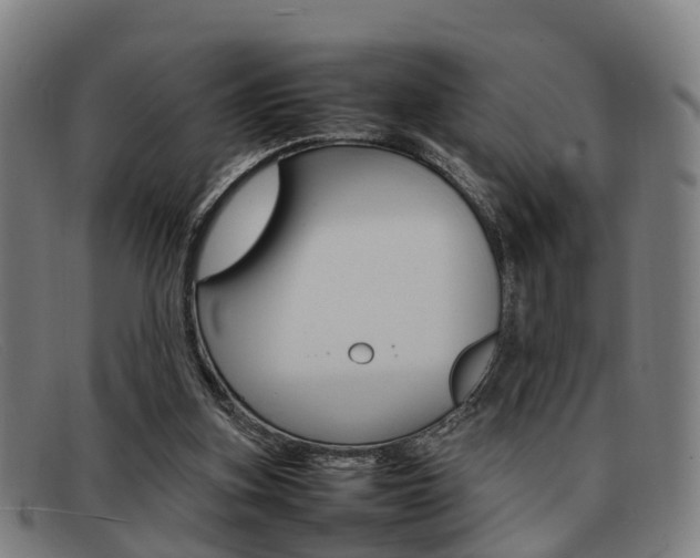 X0000092060155200709121013