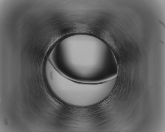 X0000092060156200709121013