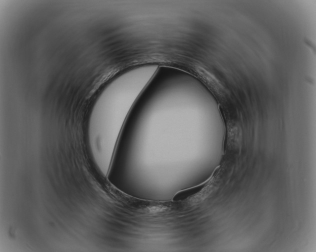 X0000092060158200709121013