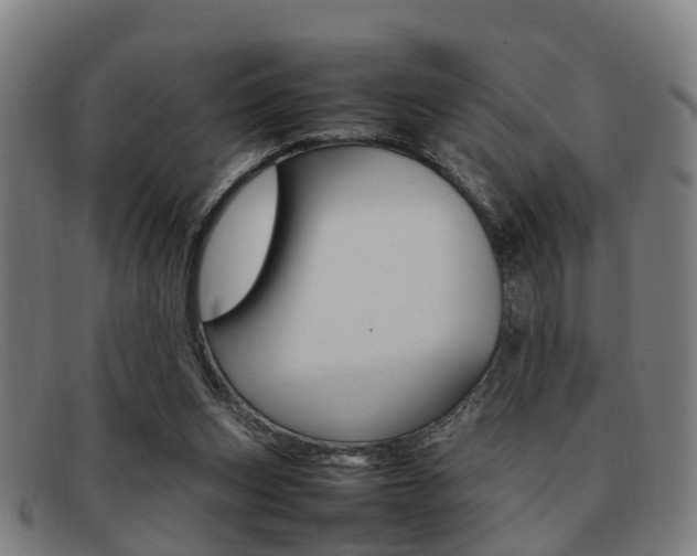 X0000092060159200709121013