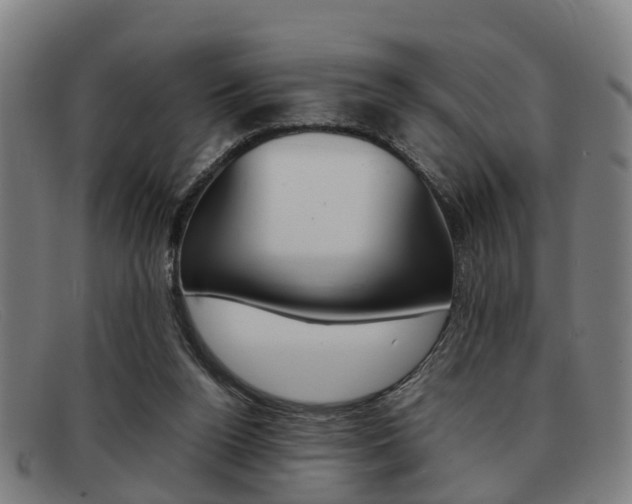 X0000092060160200709121013
