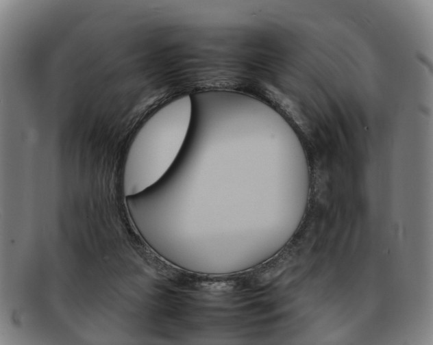 X0000092060161200709121013
